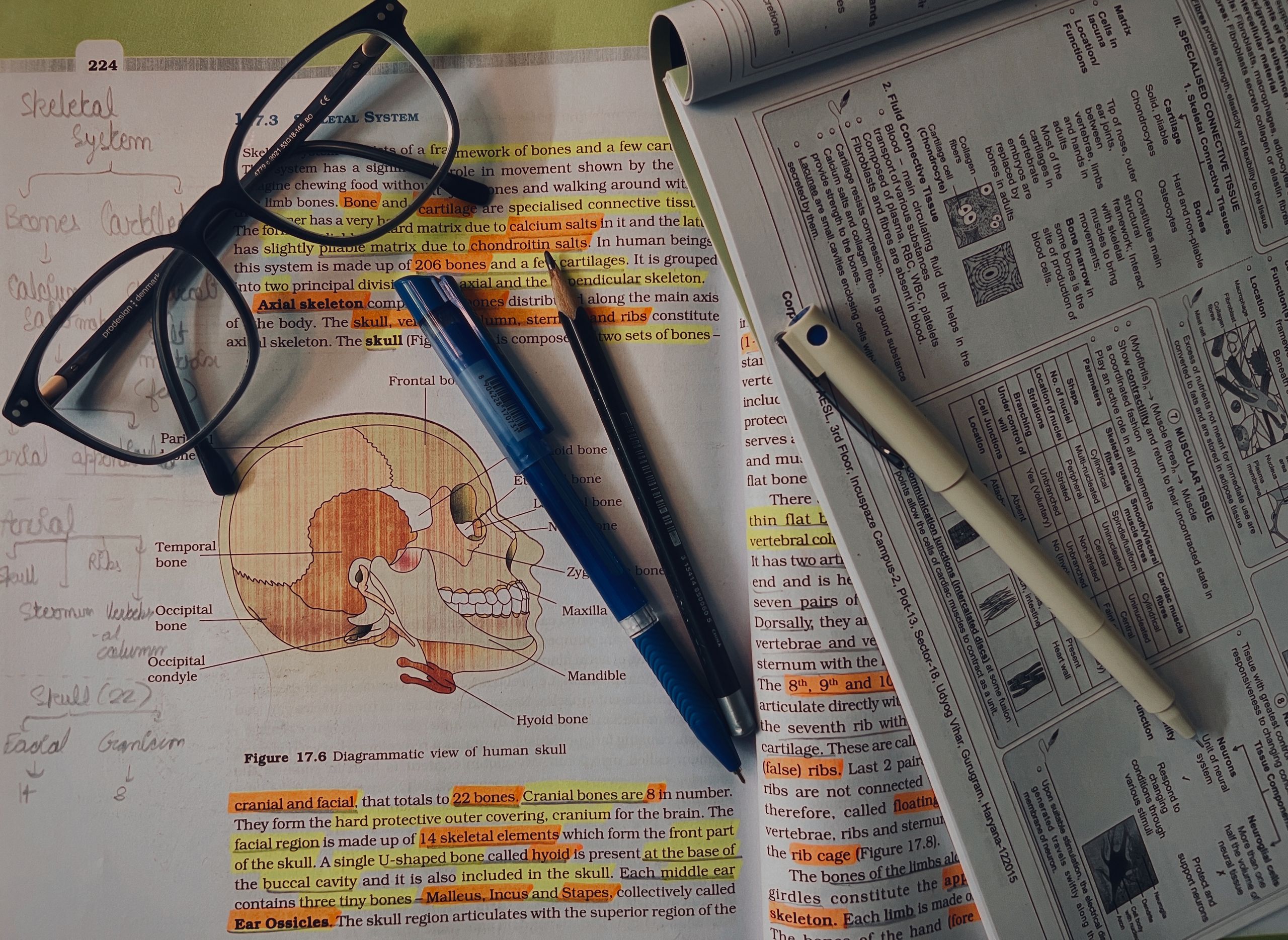 Revision