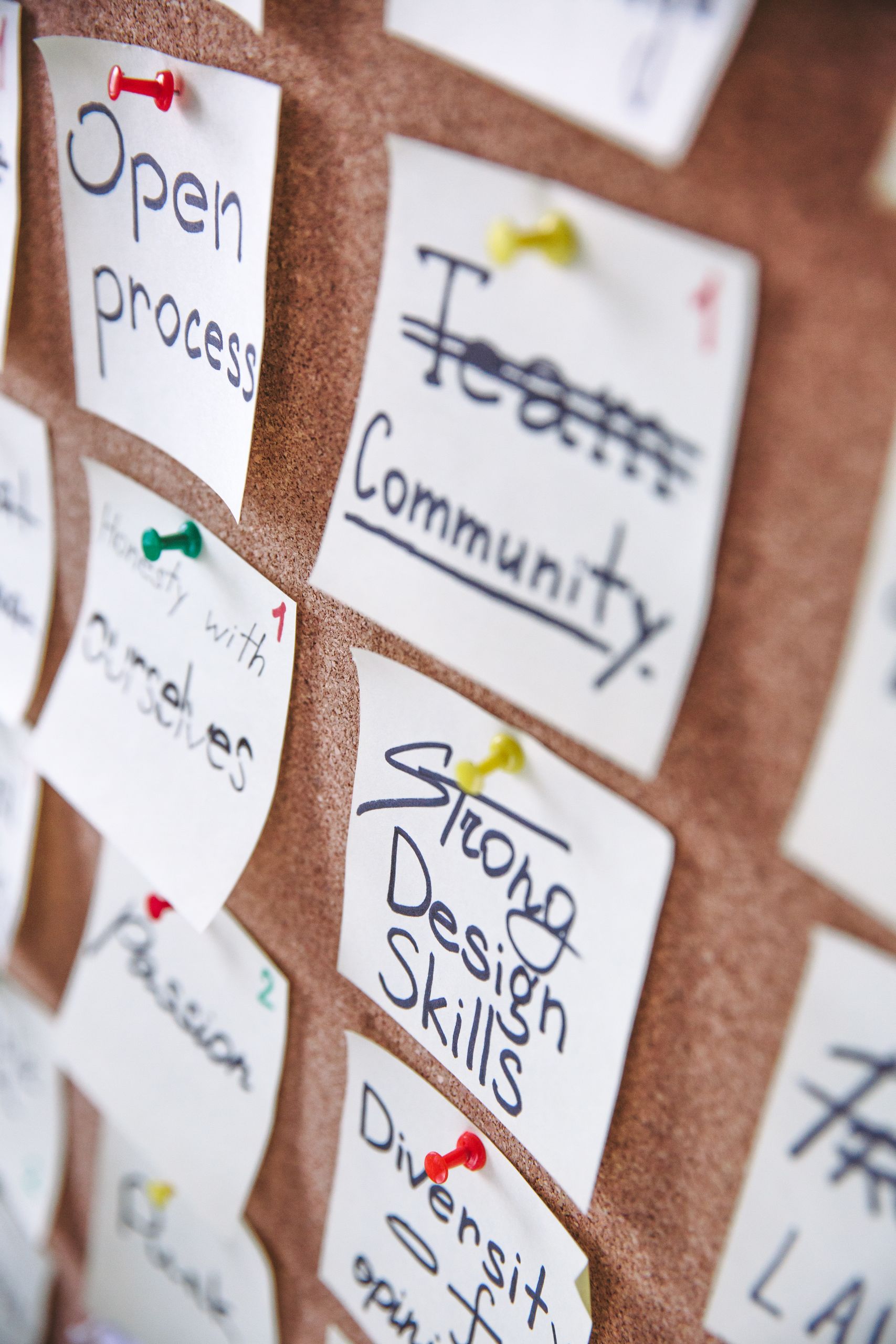 About Wider Opportunities